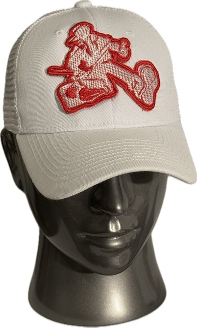 THROWBACK COLLECTION: SILHOUETTE - STRUCTURED - CURVE - SNAPBACK: CAP COLOR OPTIONS