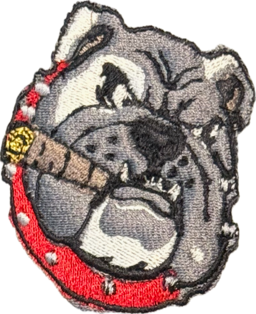 AMERICAN BULLY DOG "GOT TREATS?"