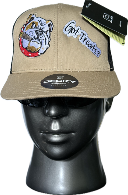 AMERICAN BULLY DOG "GOT TREATS?"