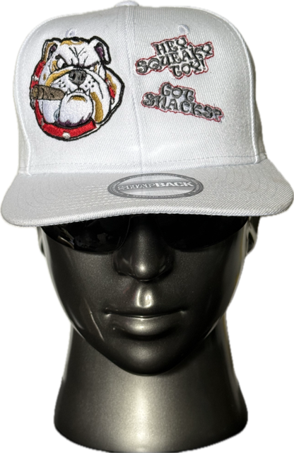 AMERICAN BULLY DOG: "HEY, SNACKPACK!"