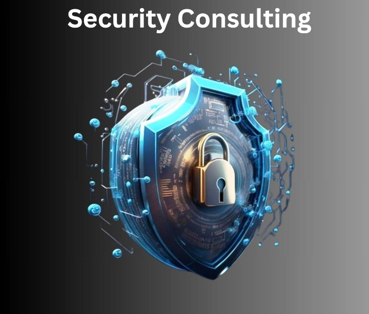Expert Security Consultation