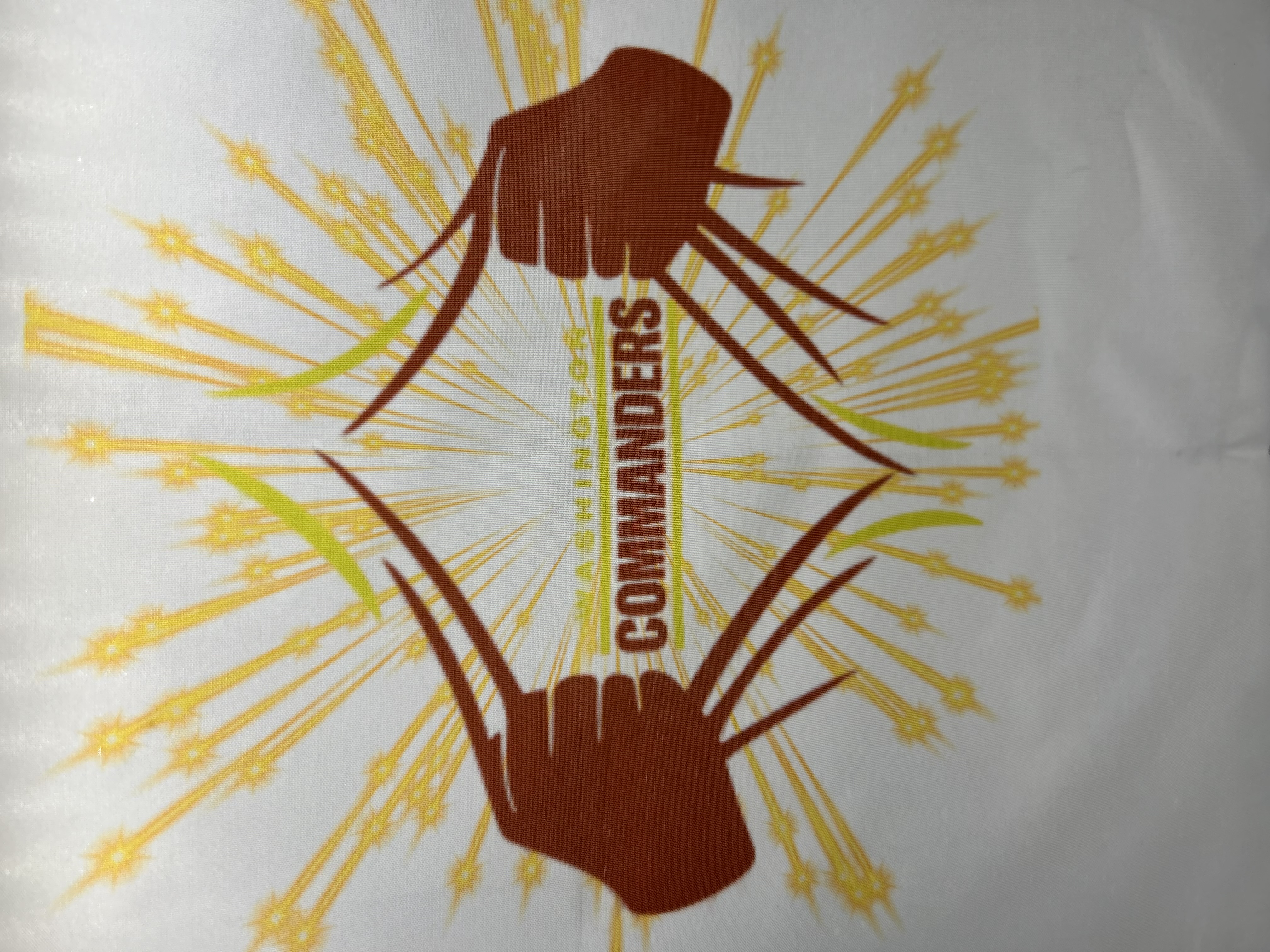 COMMANDERS Logo Art