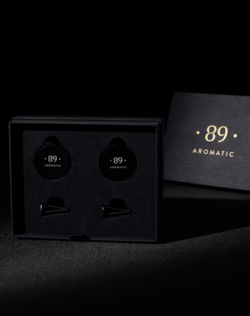 Automobilio oro gaiviklis (į groteles, 2vnt)