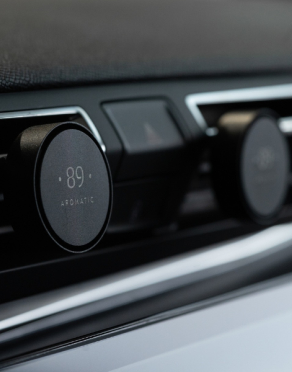 Automobilio oro gaiviklis (į groteles, 2vnt)