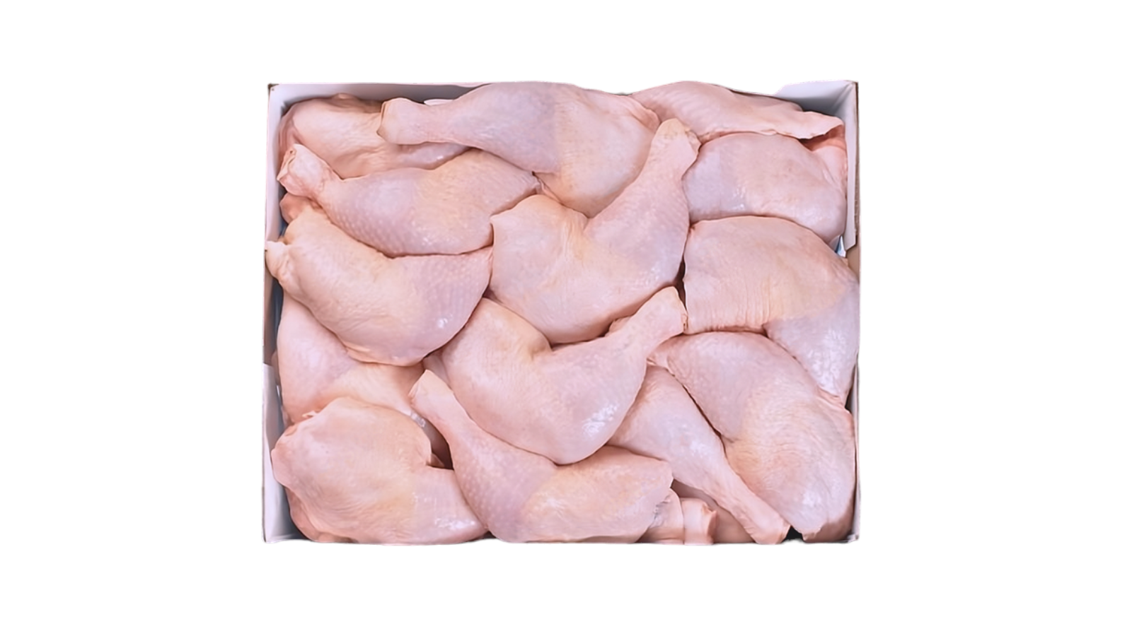 CUISSE DE POULET HALAL 10 KG