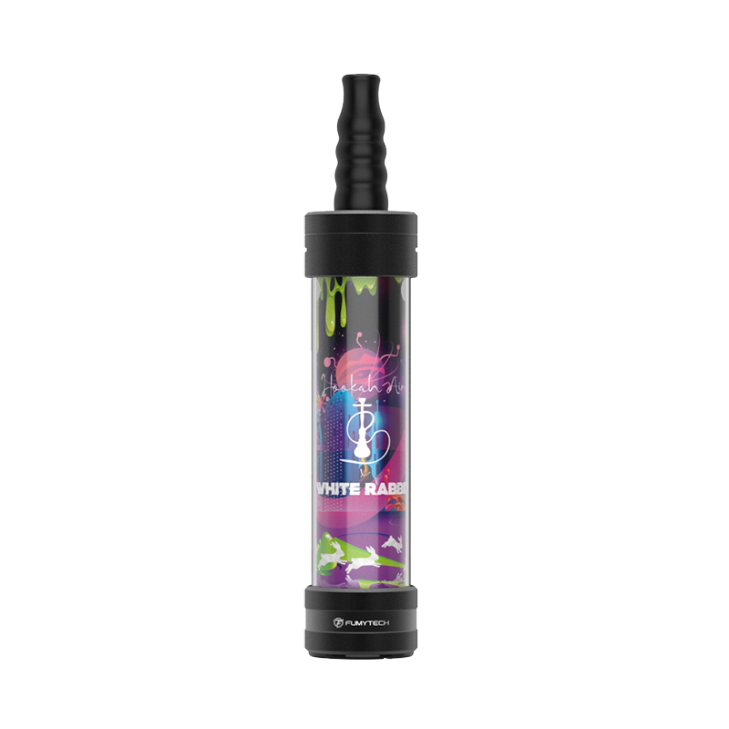 ECHICHA PORTABLE RECHARGEABLE 