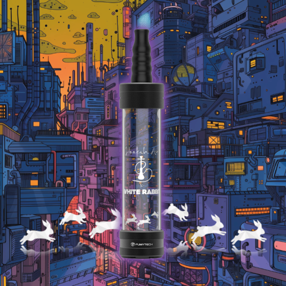 ECHICHA PORTABLE RECHARGEABLE 