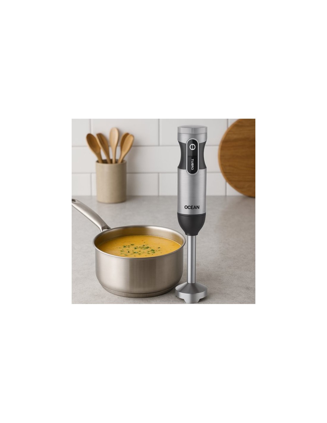 Mixeur Plongeant Inox ocean hand blender 