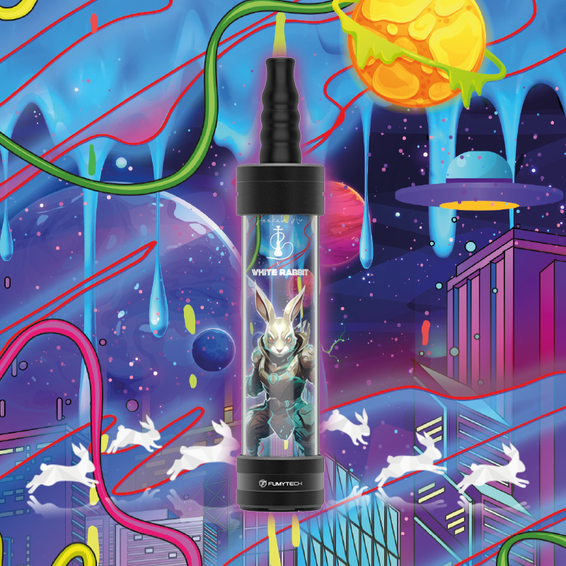 ECHICHA PORTABLE RECHARGEABLE 