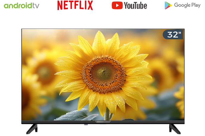 Téléviseur Ocean 32" HD LED TV 