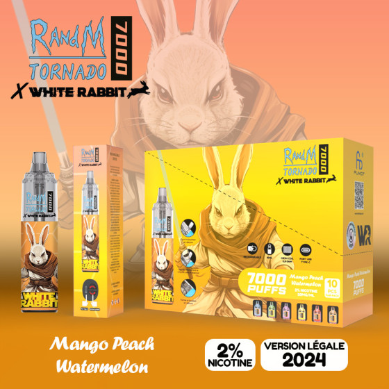 PUFF TORNADO 7000 TPD + E-LIQUIDE (1)