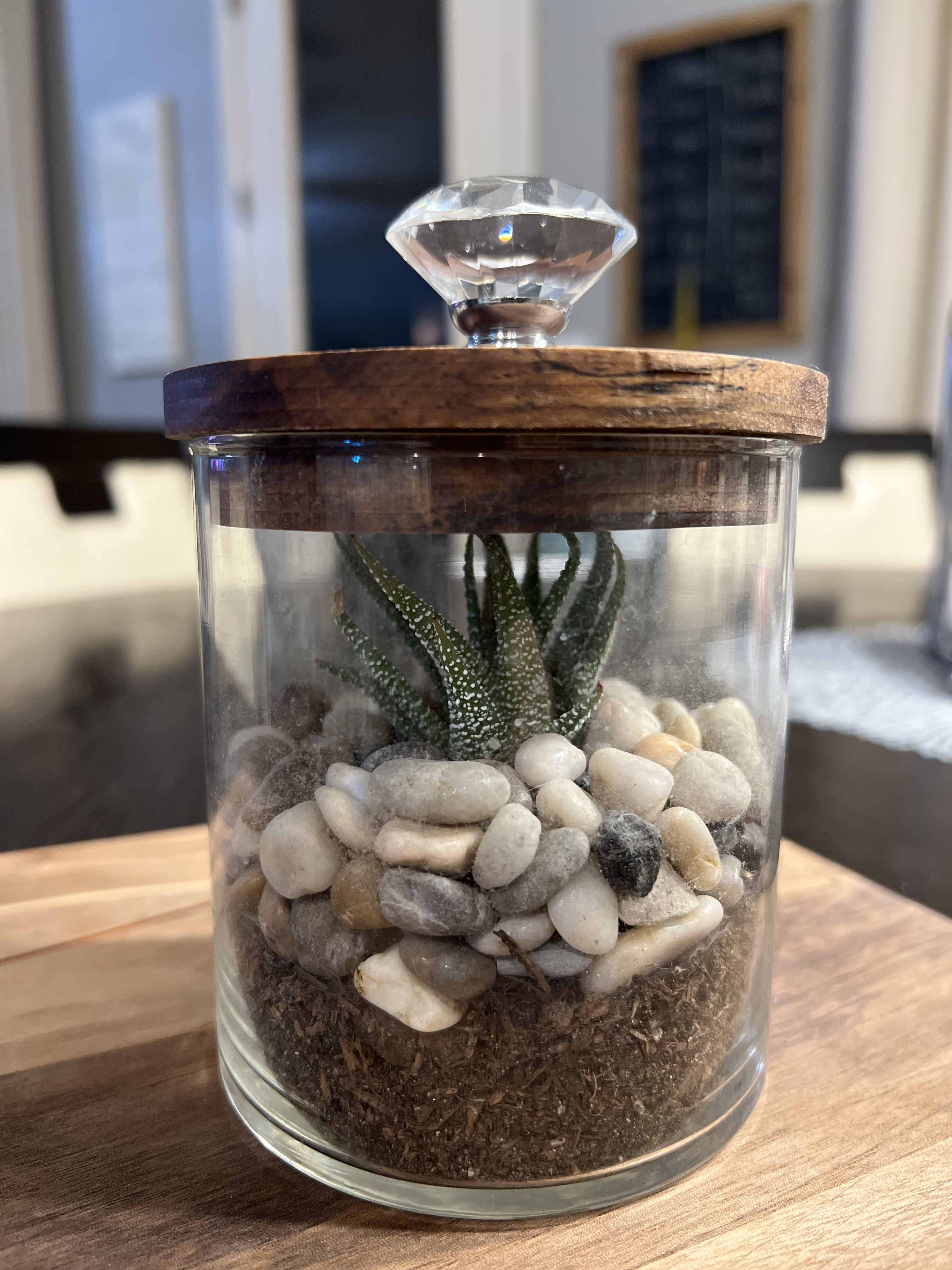 6' Glass Jar with Crystal & Wood Top