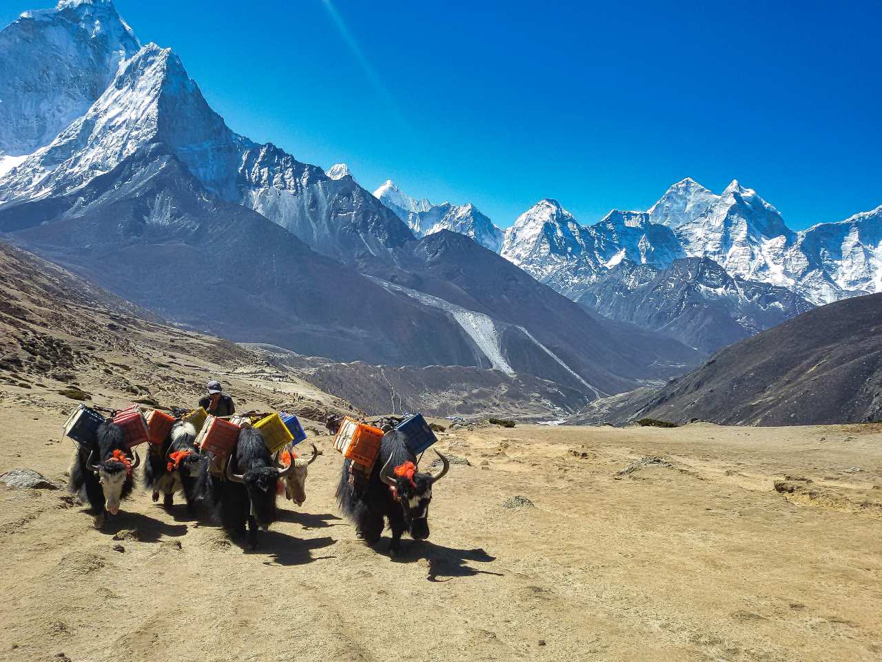 Nepal: Everest Base Camp Trek