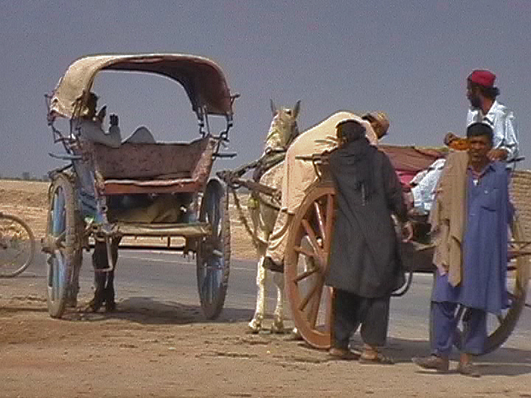 Pakistan: Mohenjo-daro Archaeological Site Exploration