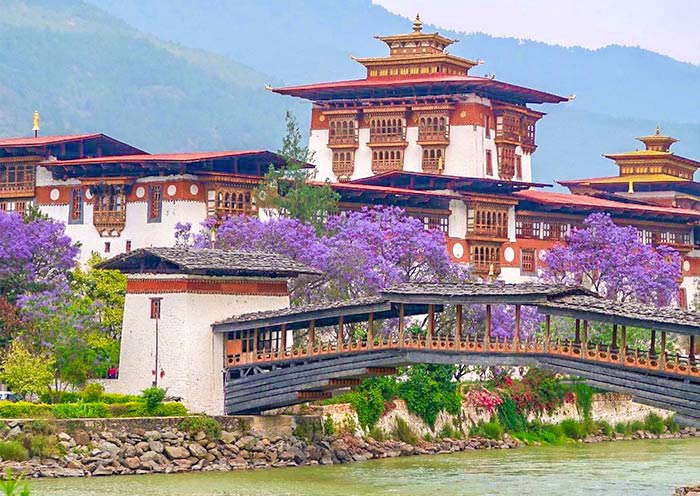 Bhutan: Punakha Dzong Exploration