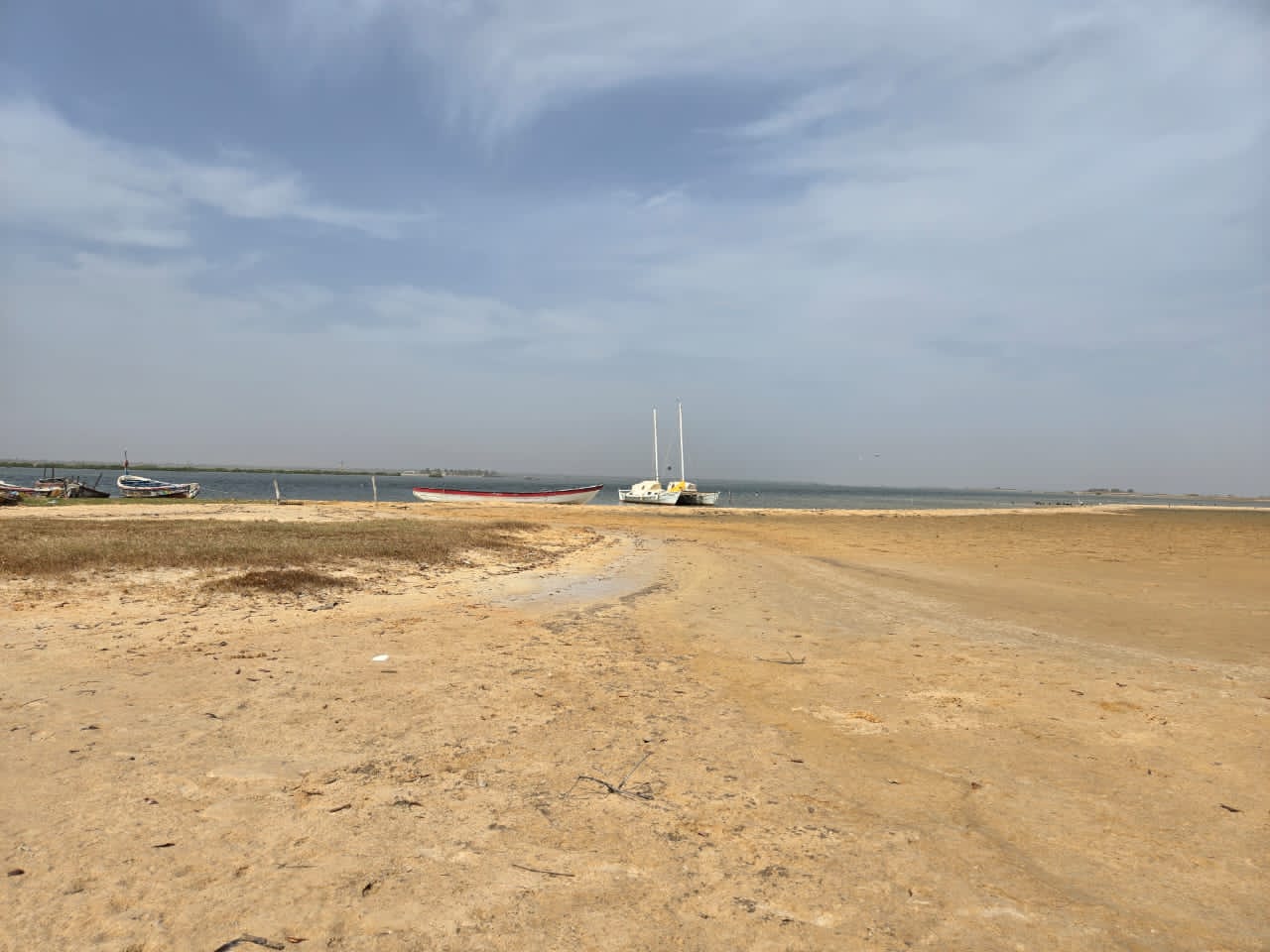 Terrain Pieds dans l'eau au île Saloum au Fleuve Ndangane dans la zone résidentielle