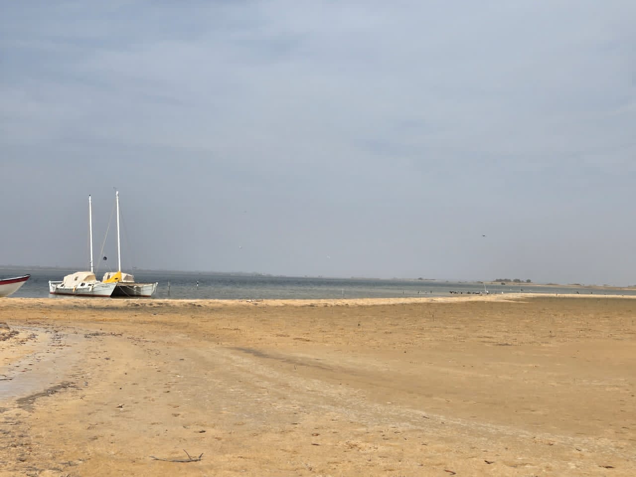 Terrain Pieds dans l'eau au île Saloum au Fleuve Ndangane dans la zone résidentielle
