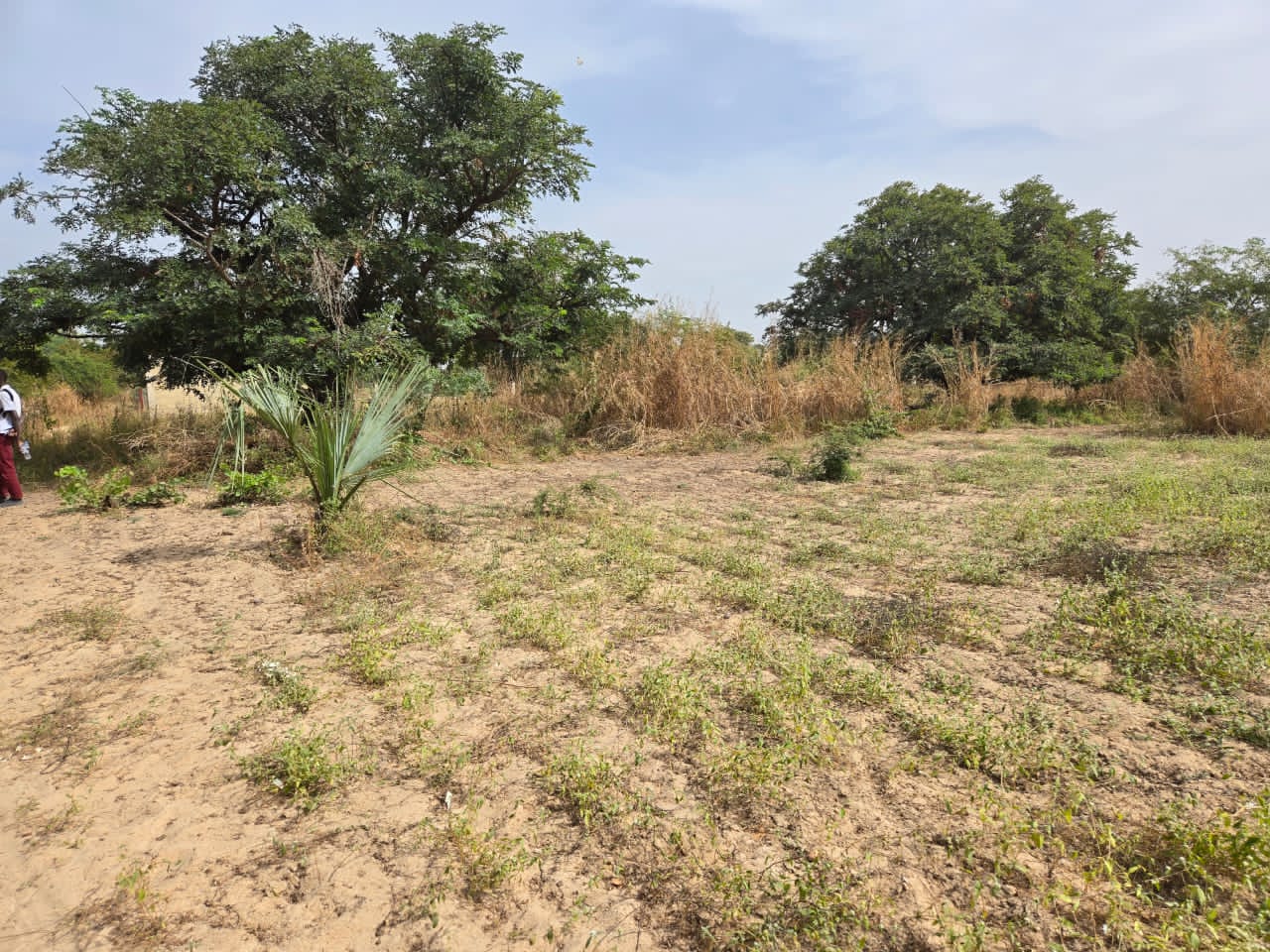 Terrain au île Saloum 30 mètre du fleuve derrière l'hôtel
