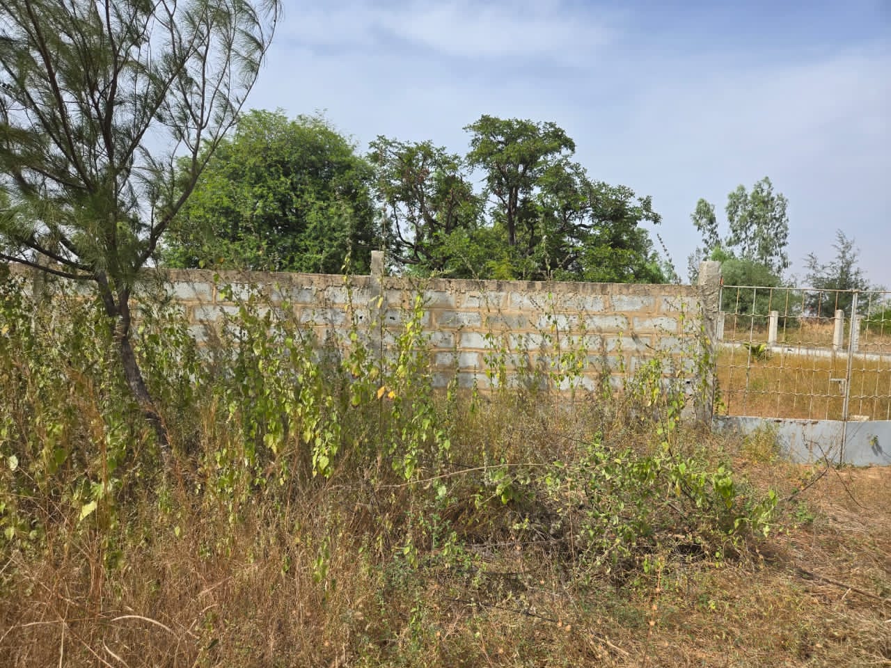 Terrain au île Saloum 30 mètre du fleuve derrière l'hôtel
