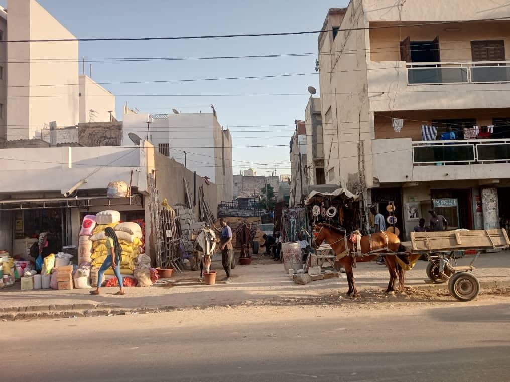 Terrain à vendre à Grand dakar