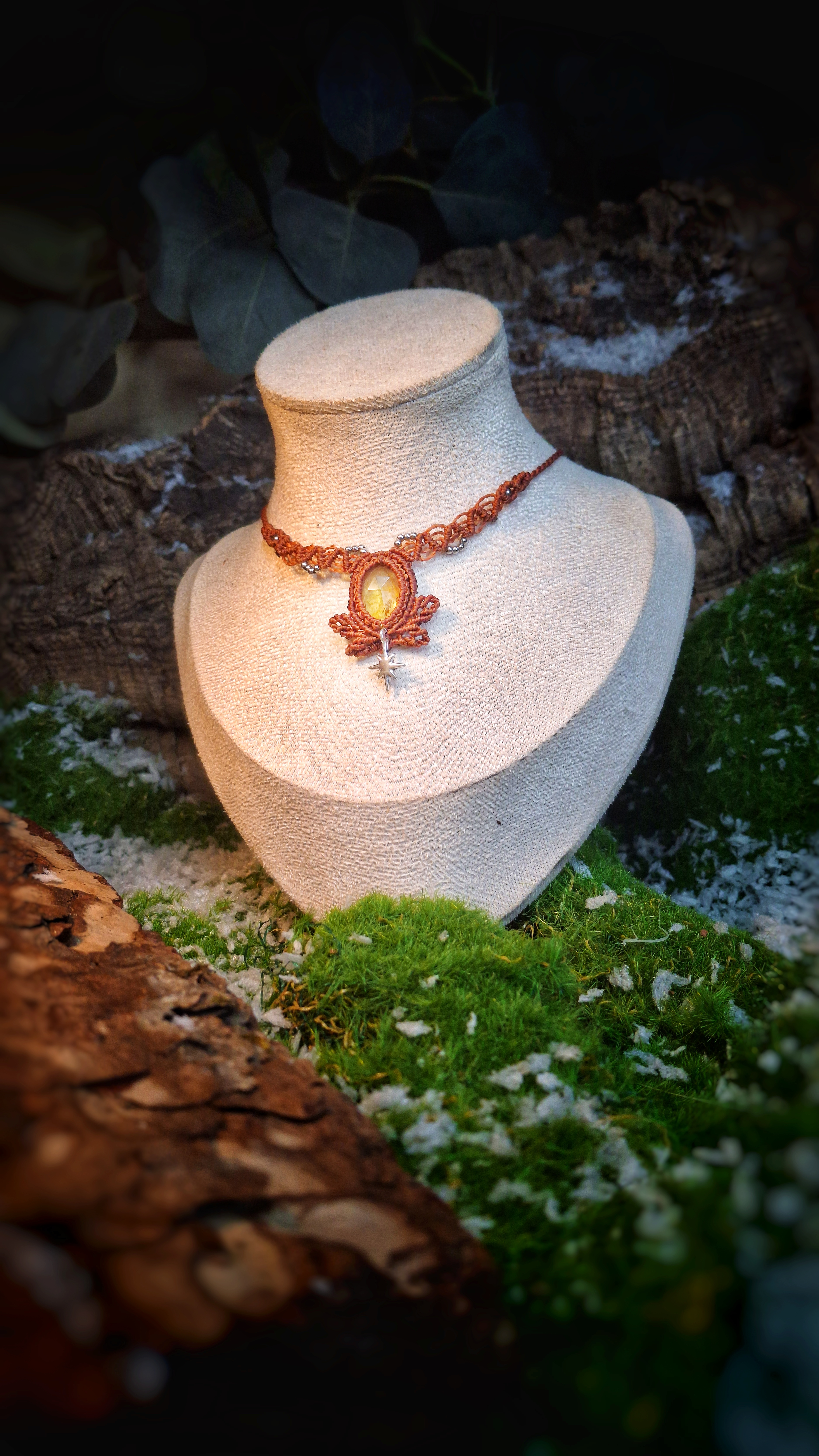 Colliers Magical Winter