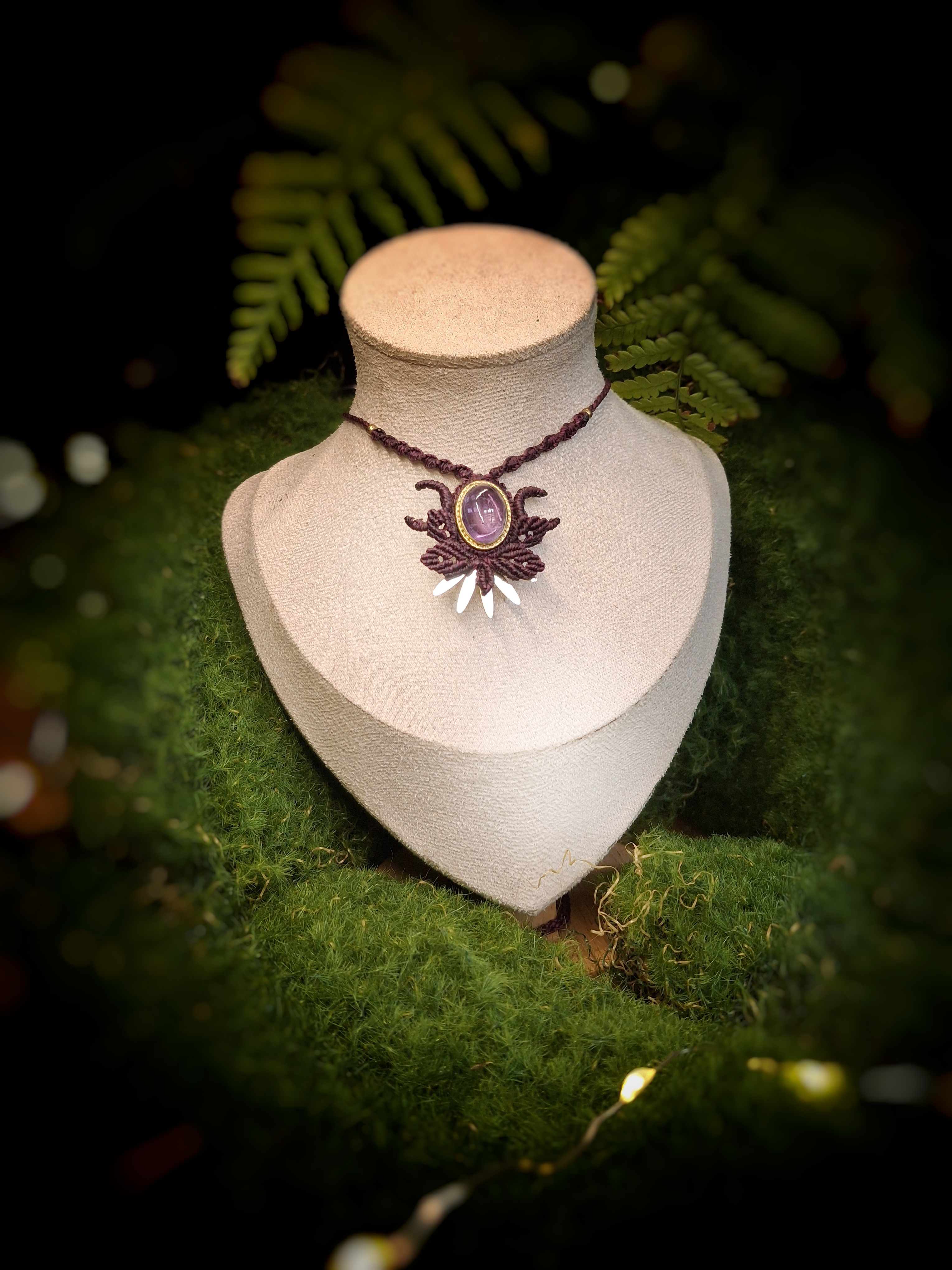 Colliers Midnight dream