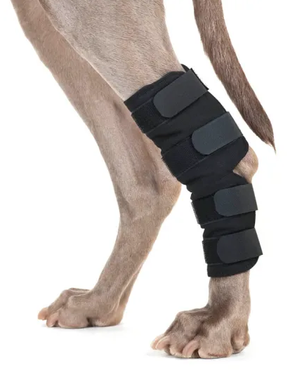 Dog Hock Brace/Pair.