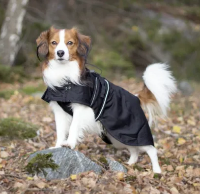 Dog Coat Mesh Medium.