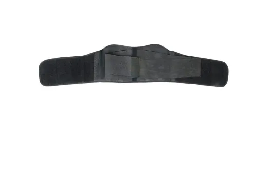 Back Brace Double Layer.