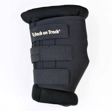 Royal Padded Hock Boots.