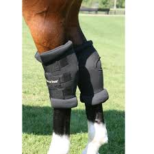 Royal Padded Hock Boots.