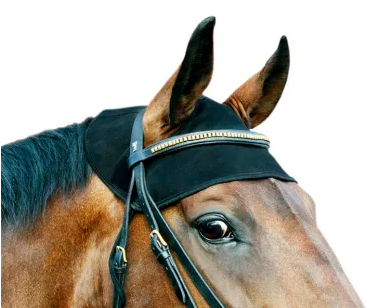 Therapeutic Horse Poll Cap.