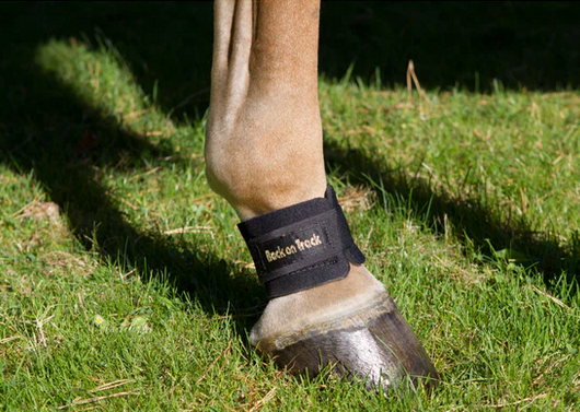 Pastern Wraps / Bands.