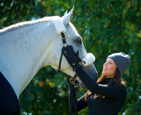 Riding Gloves.