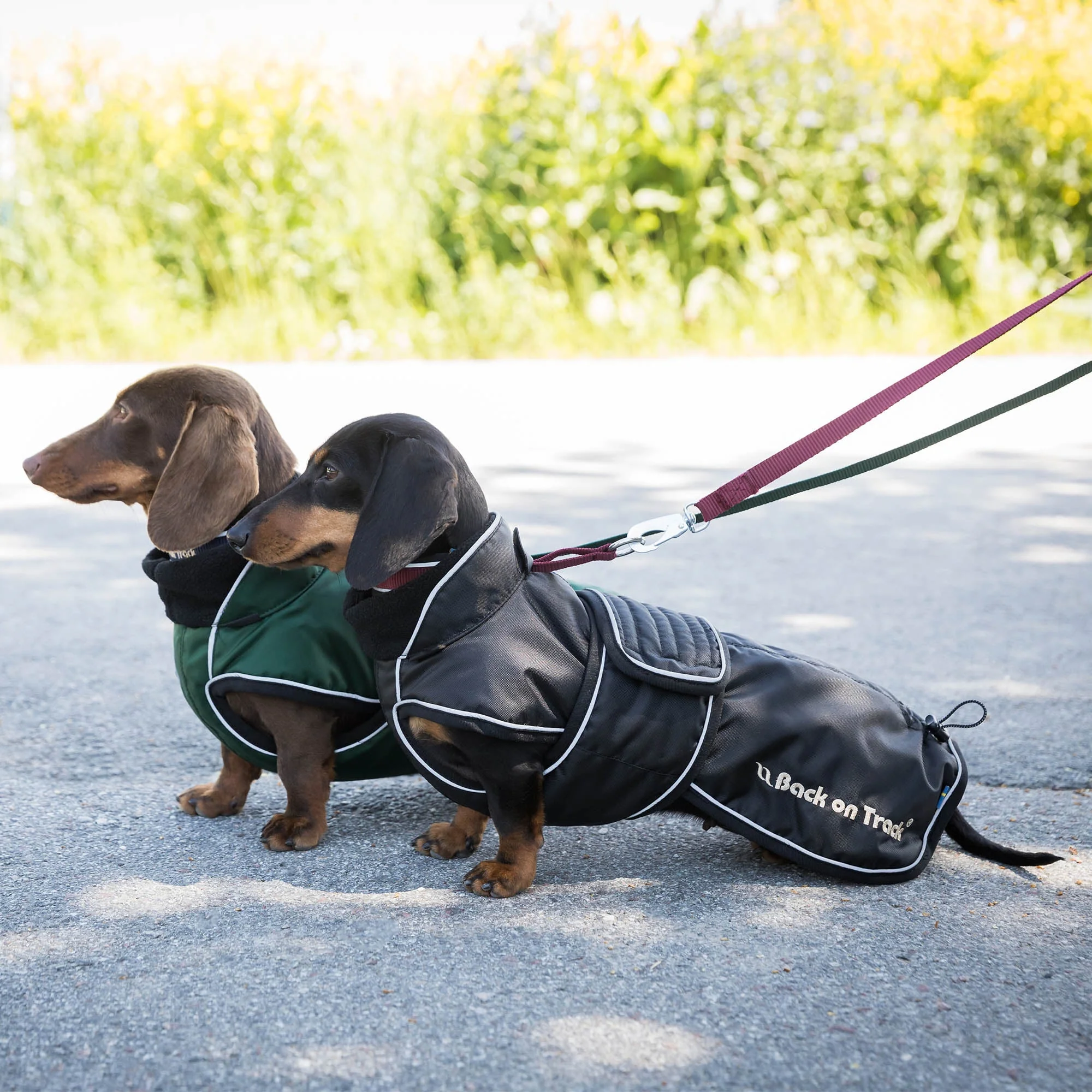 Buddy "Long Dog" Coat.