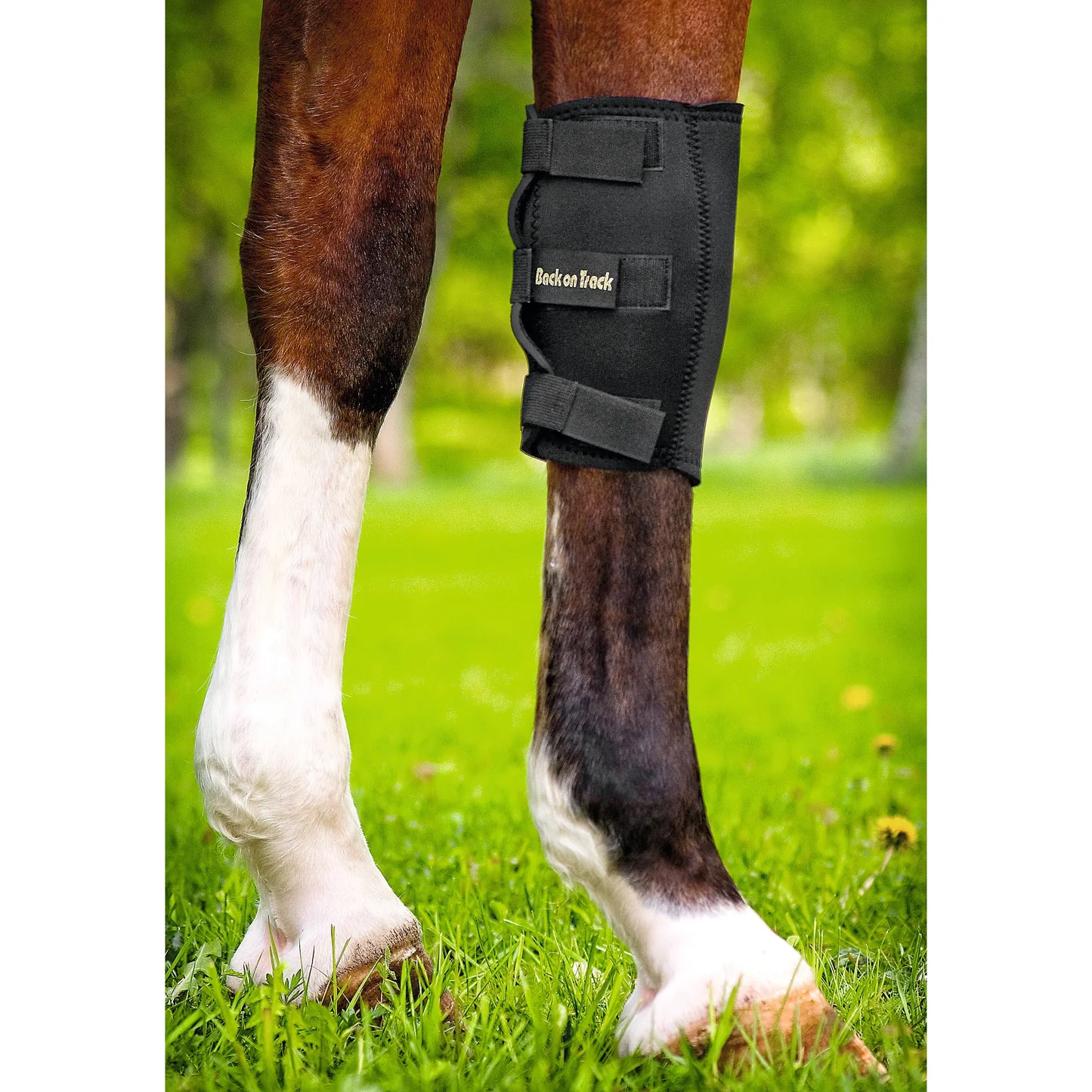 Knee Boot.