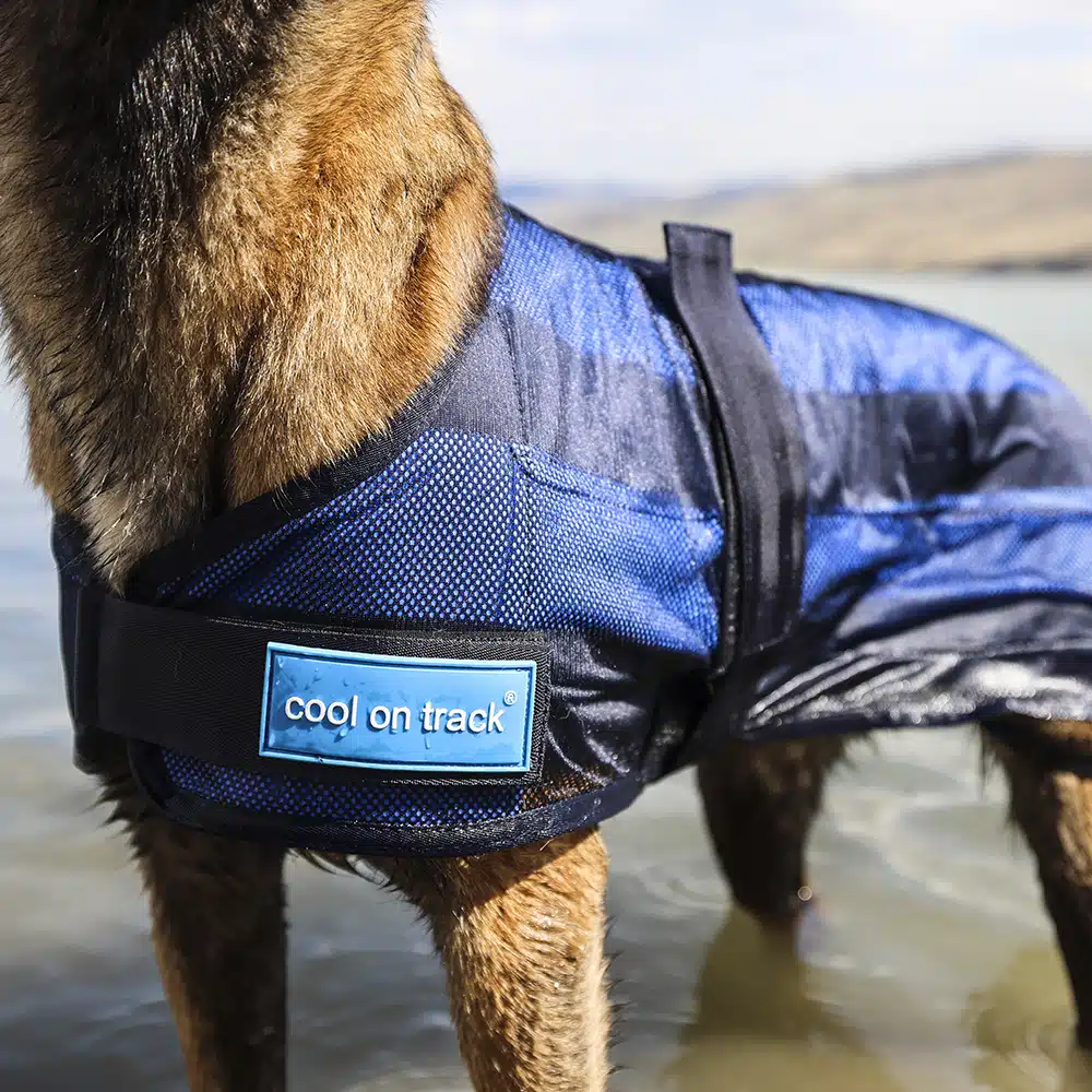 Cool on Track Dog Cooling Coat.