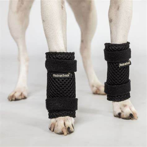Milo Dog Leg Wraps.
