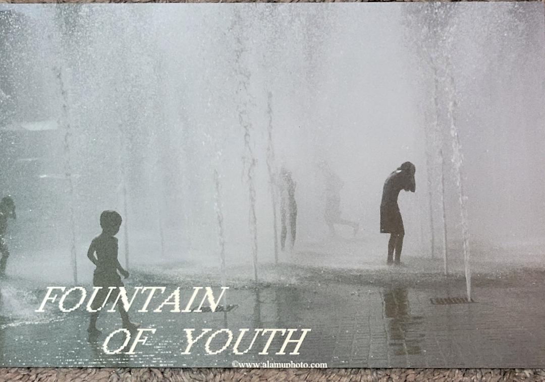FOUNTAIN of YOUTH metal 12X8