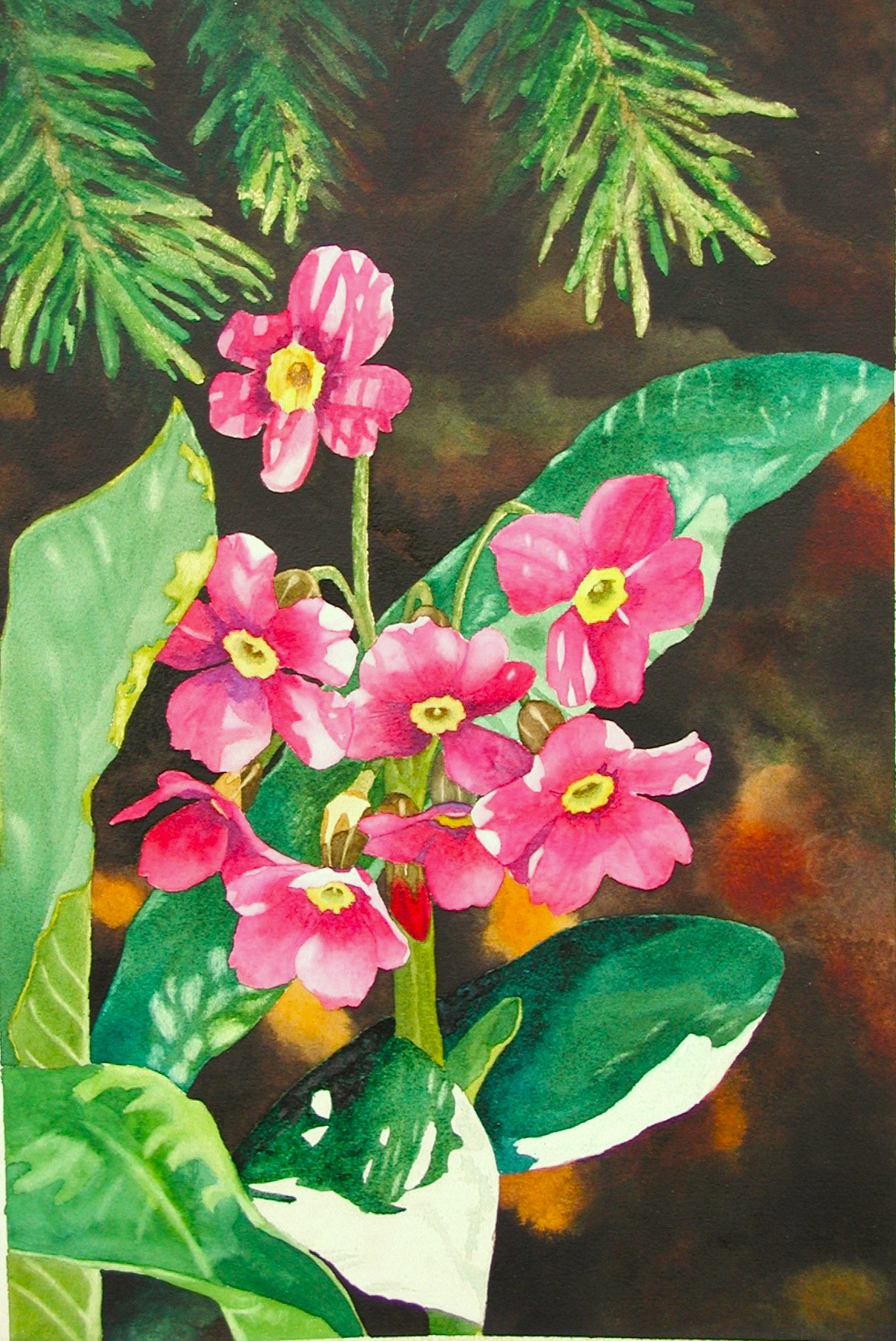 95-01 Wildflowers