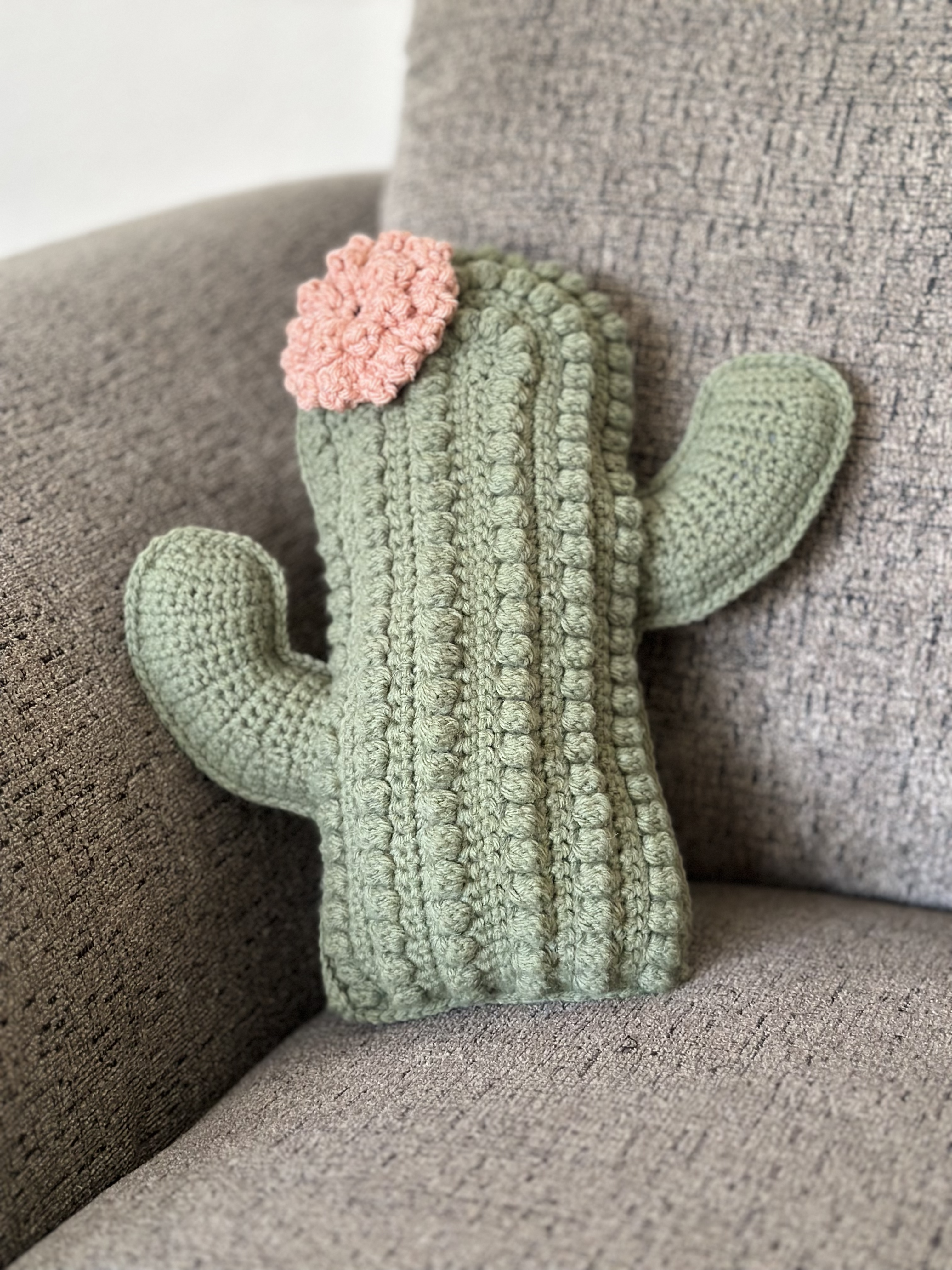Custom Crochet Cactus Decor Throw Pillow 