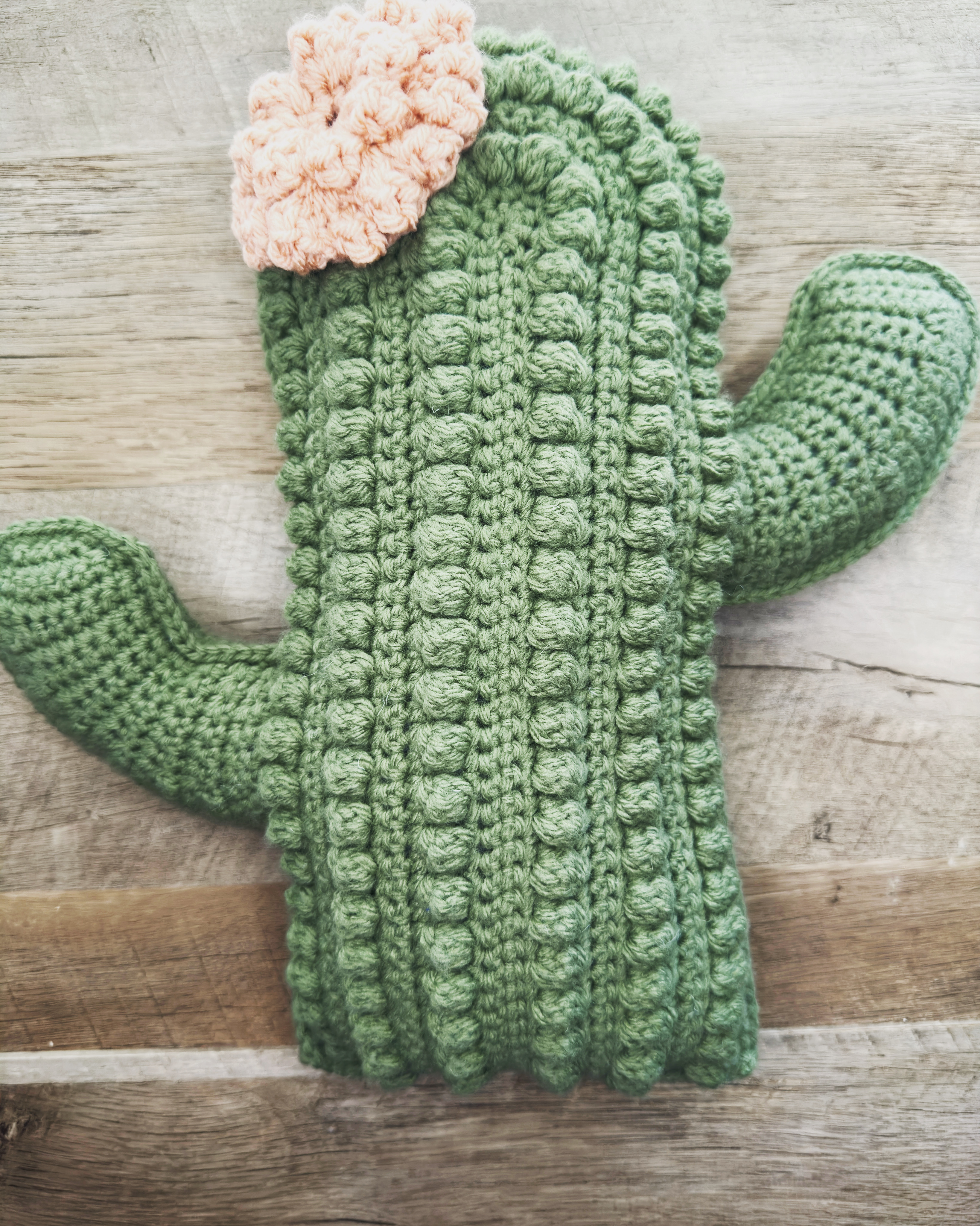 Custom Crochet Cactus Decor Throw Pillow 