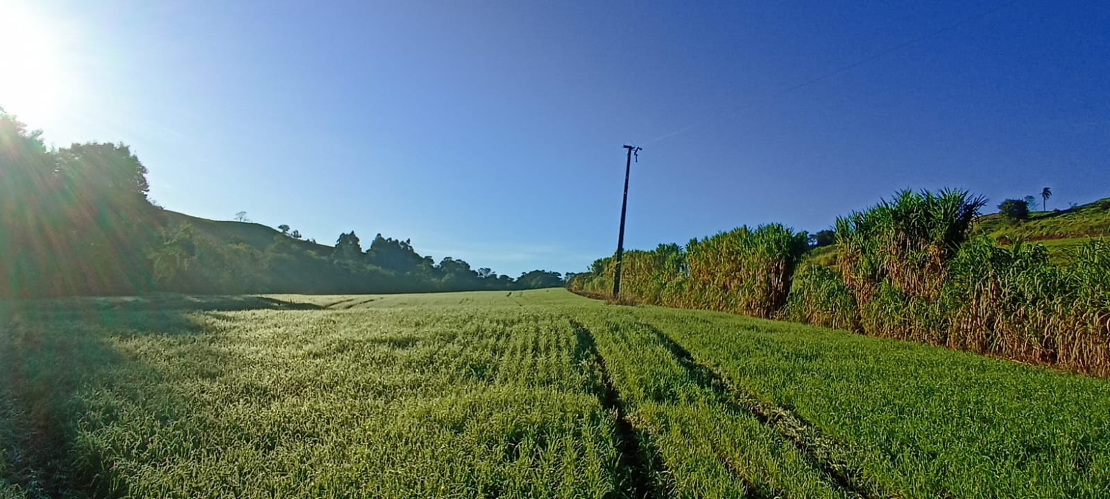 8 Hectares de Terra em Linha Gaspar, Bandeirante/SC - R$410 mil!