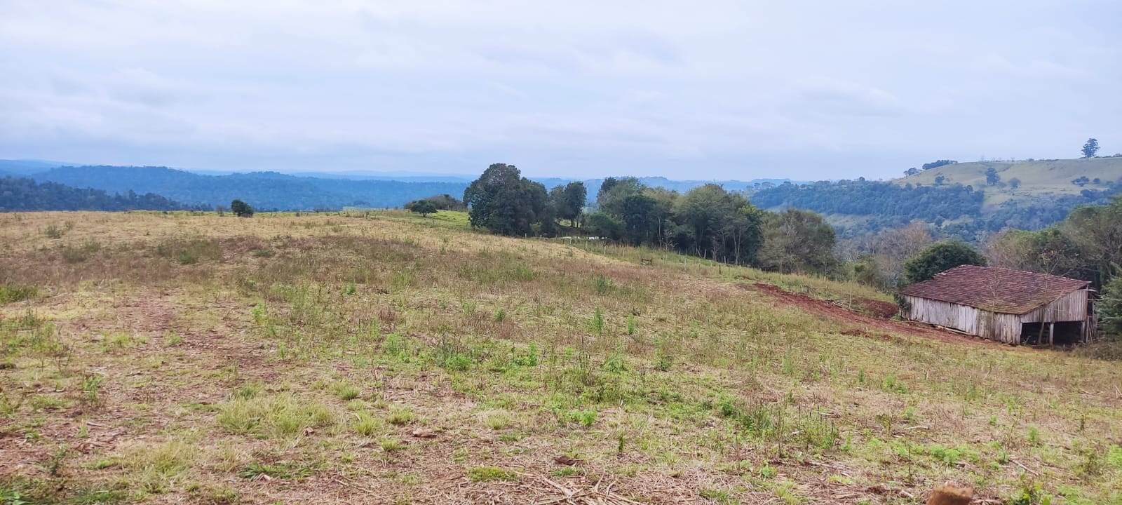 Terreno de 16 Hectares com Gado em Paraíso/SC
