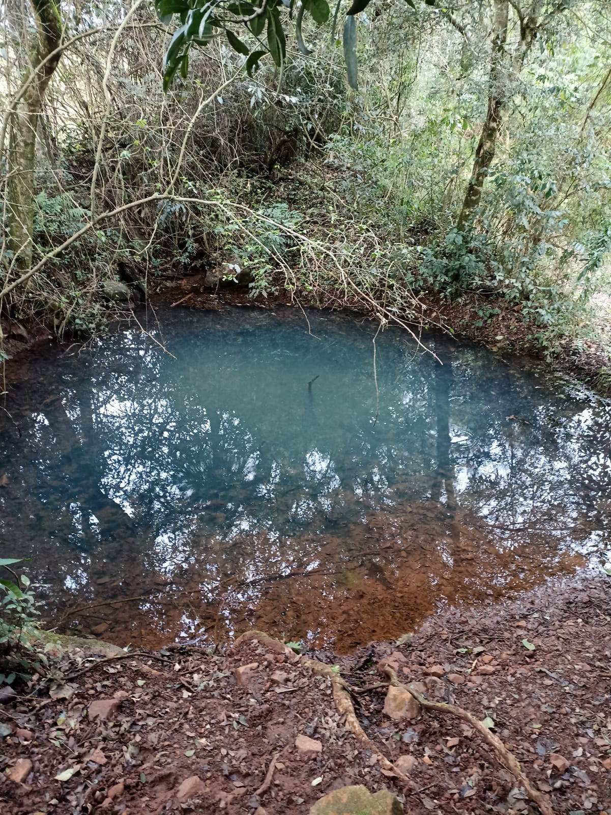 Terreno de 16 Hectares com Gado em Paraíso/SC