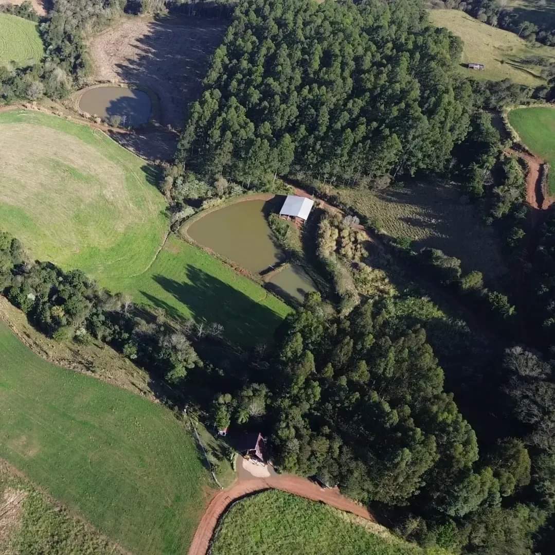 Propriedade Rural Completa em Paraíso/SC - 38 Hectares