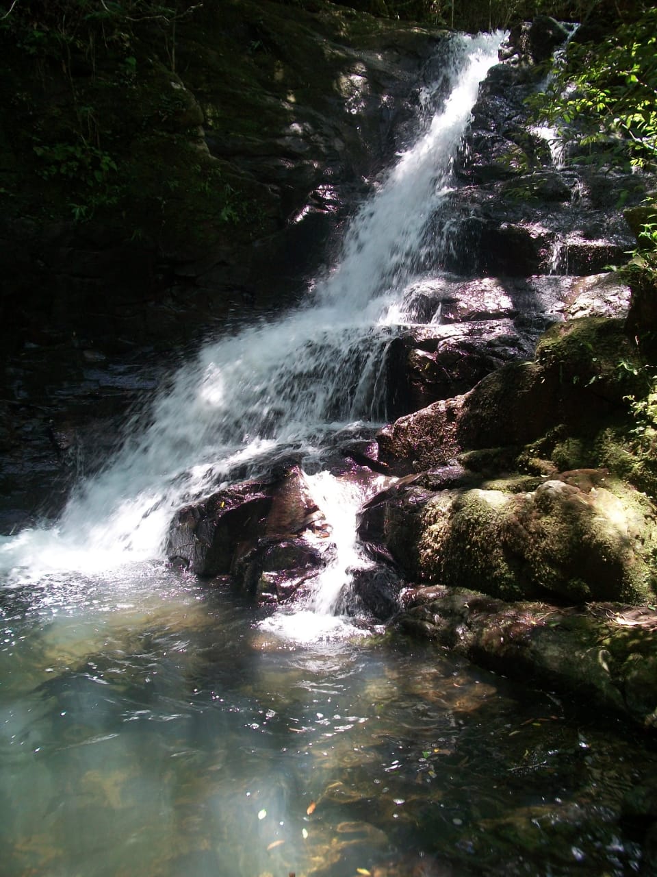 Propriedade Rural - 6 Hectares com Cascata!
