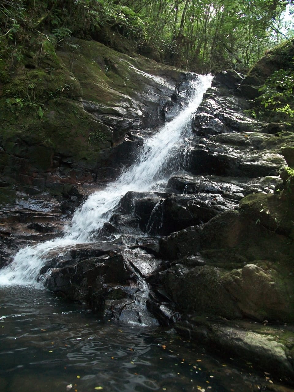 Propriedade Rural - 6 Hectares com Cascata!