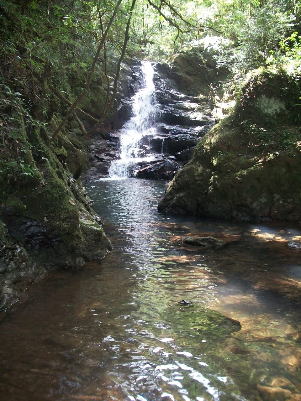 Propriedade Rural - 6 Hectares com Cascata!