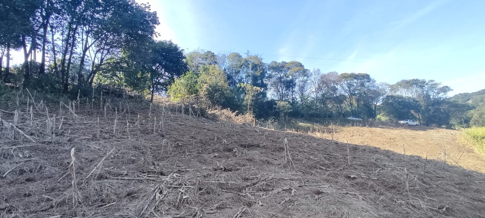 Chácara de 10.000m² à Venda em Paraíso!